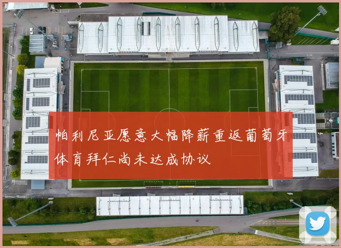 帕利尼亚愿意大幅降薪重返葡萄牙体育拜仁尚未达成协议