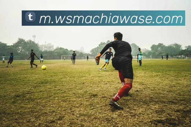 九游j9官方官网平台生态图